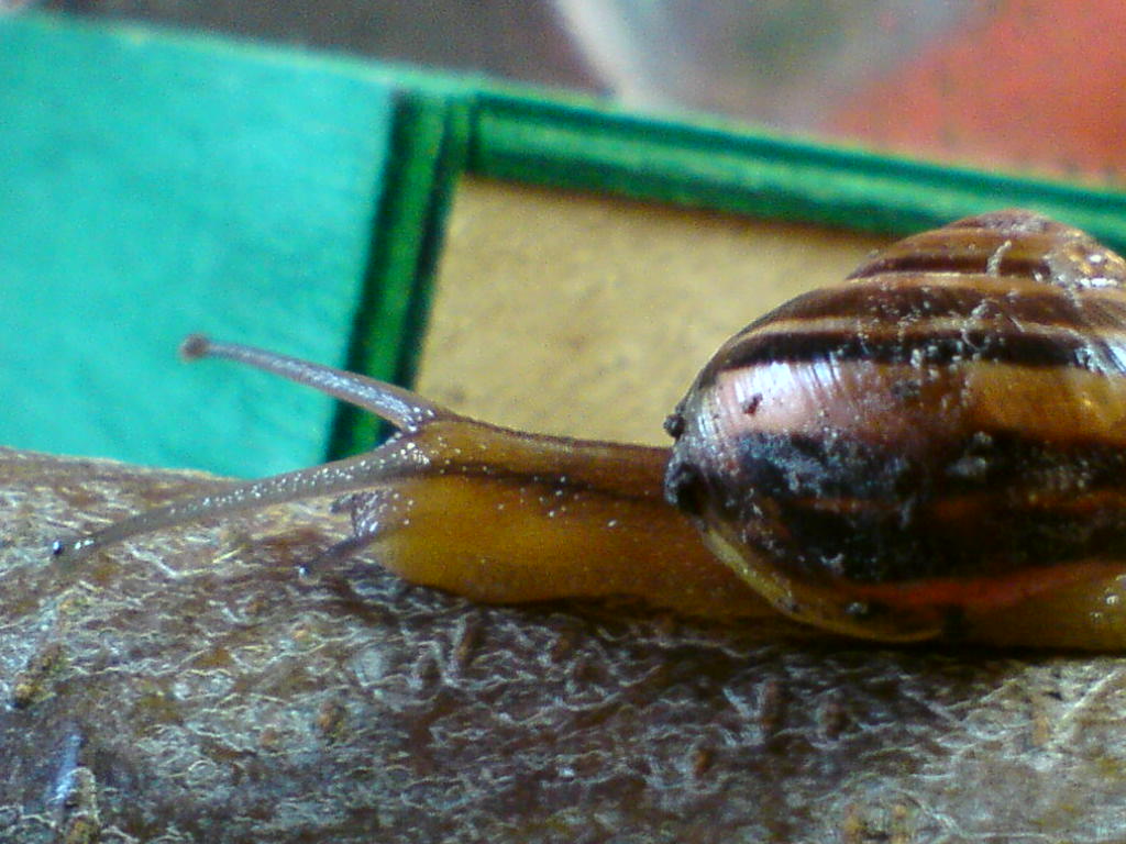 DSC01043.JPG