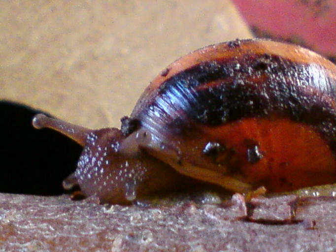 DSC01045.JPG