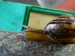 DSC01043.JPG