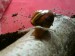 DSC01044.JPG